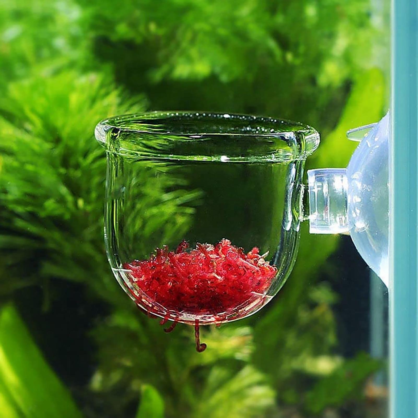Aquarium Plant Seeds - Aquarium Plant Pot Glazen Cilinder Cup
