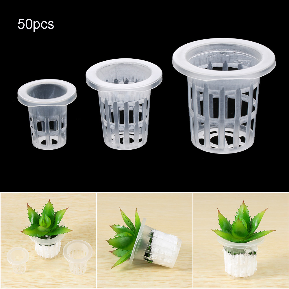 Aquarium Plant Seeds - 10/50 Stuks Tuin Aquarium Planten Grondloze