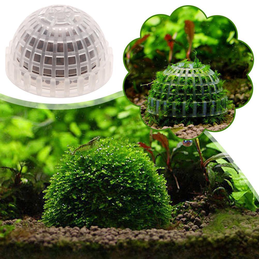 Aquarium Plant Red - Aquarium Decoratie Planten Bio Mos Bal