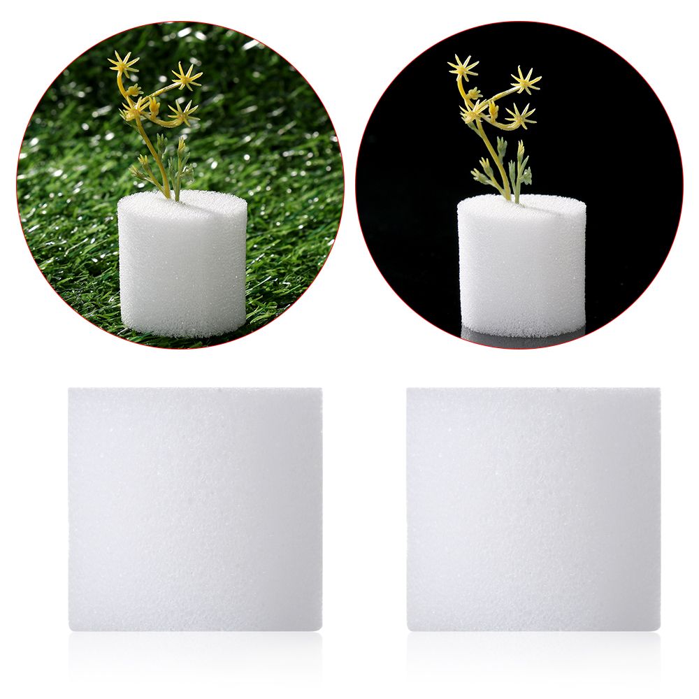 Aquarium Plant Seeds - 10/50Pcs Duurzaam Tuin Aquarium Planten Kwekerij