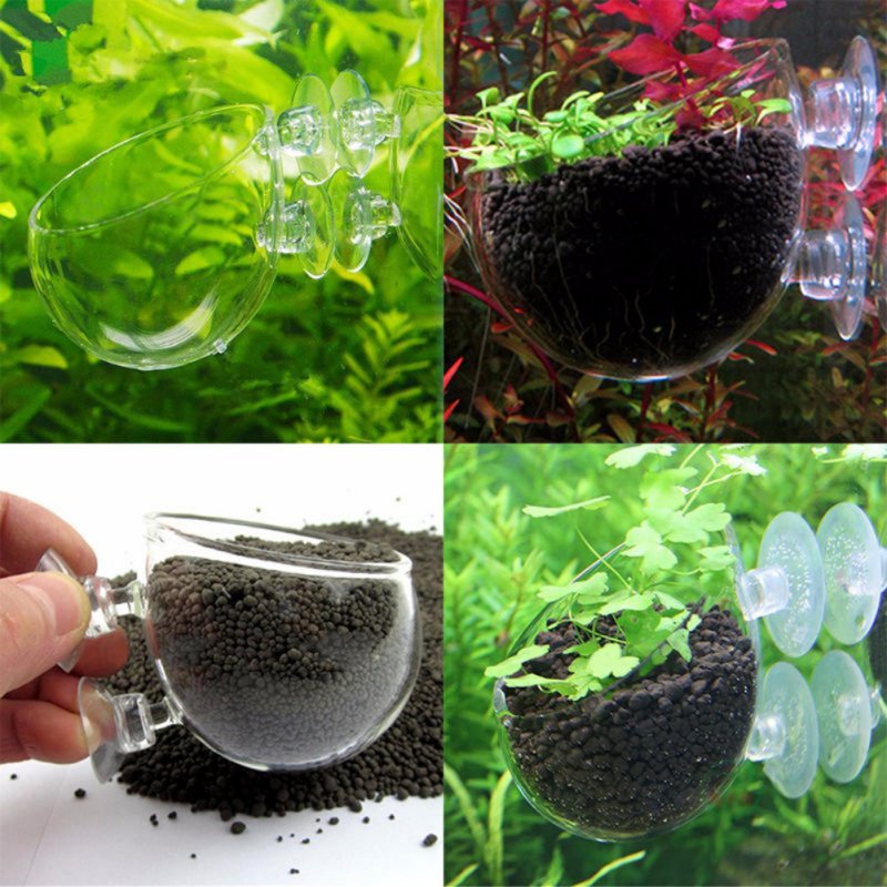 Aquarium Plant Seeds - Aquarium Opknoping Plant Pot Glazen Cilinder