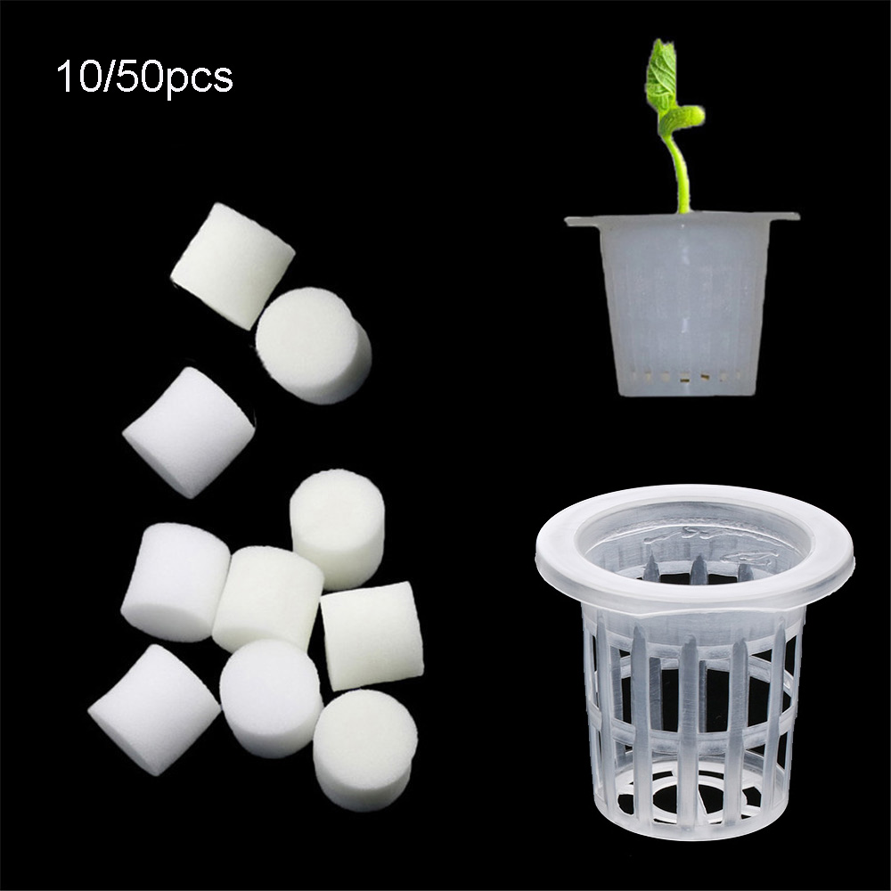 Aquarium Plant Seeds - 10/50 Stuks Duurzaam Planten Aquarium Grondloze