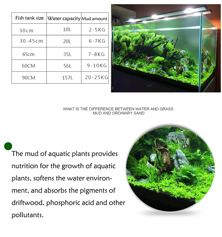 Aquarium Water Gras Modder Pla - Aquarium Plant Seeds recensie en prijs