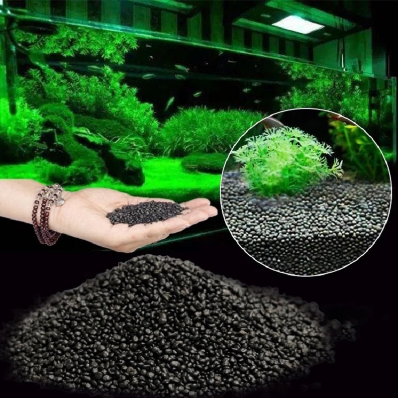 Aquarium Water Gras Modder Pla - Aquarium Plant Seeds recensie en prijs