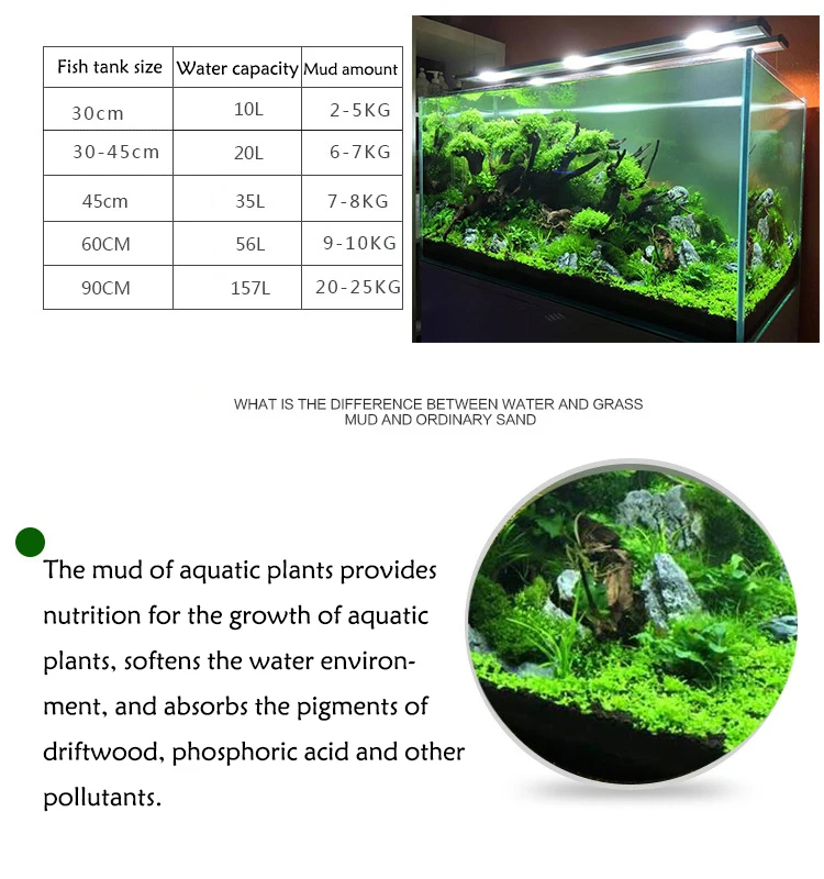 Aquarium Water Gras Modder Pla - Aquarium Plant Seeds recensie en prijs