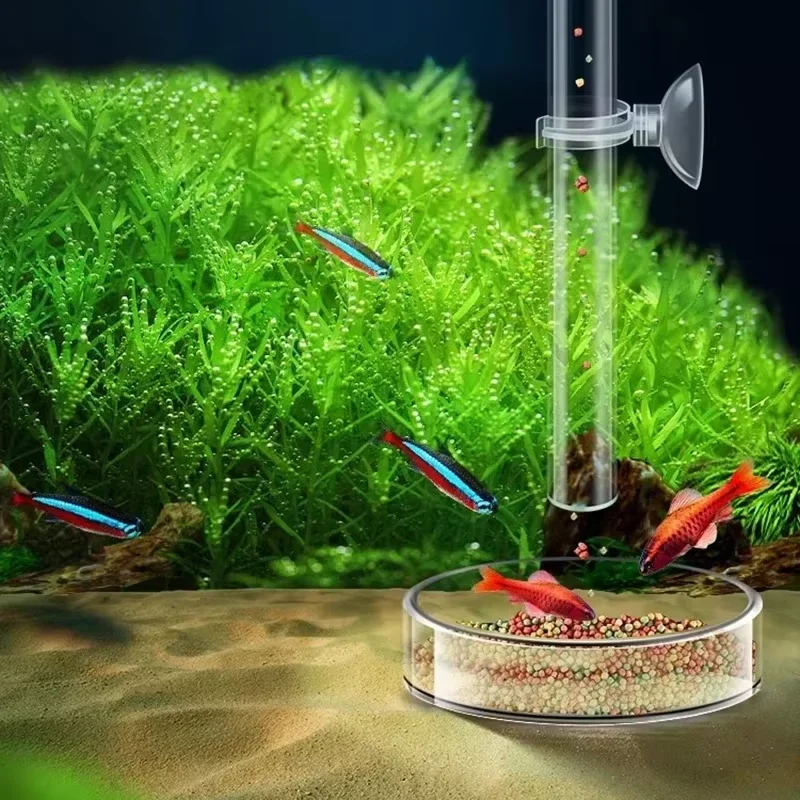 Aquarium glazen voedingsbuis & - Aquarium Plant Red recensie en prijs