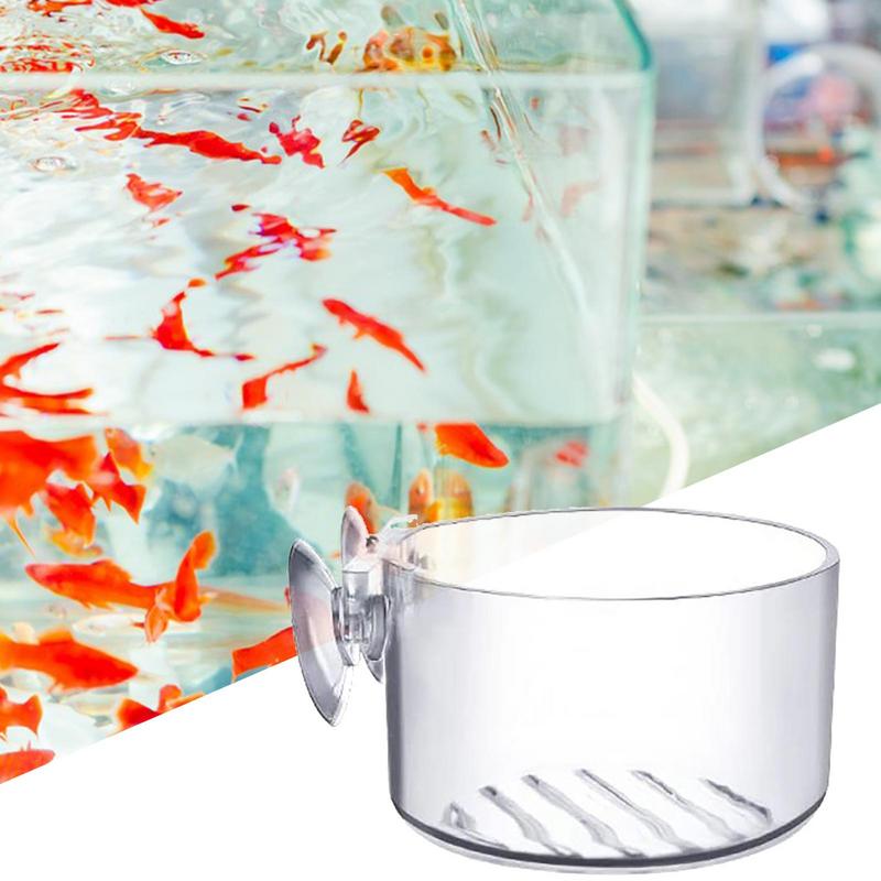 Aquarium Plant Pot Glazen Cili - Aquarium Plant Seeds recensie en prijs