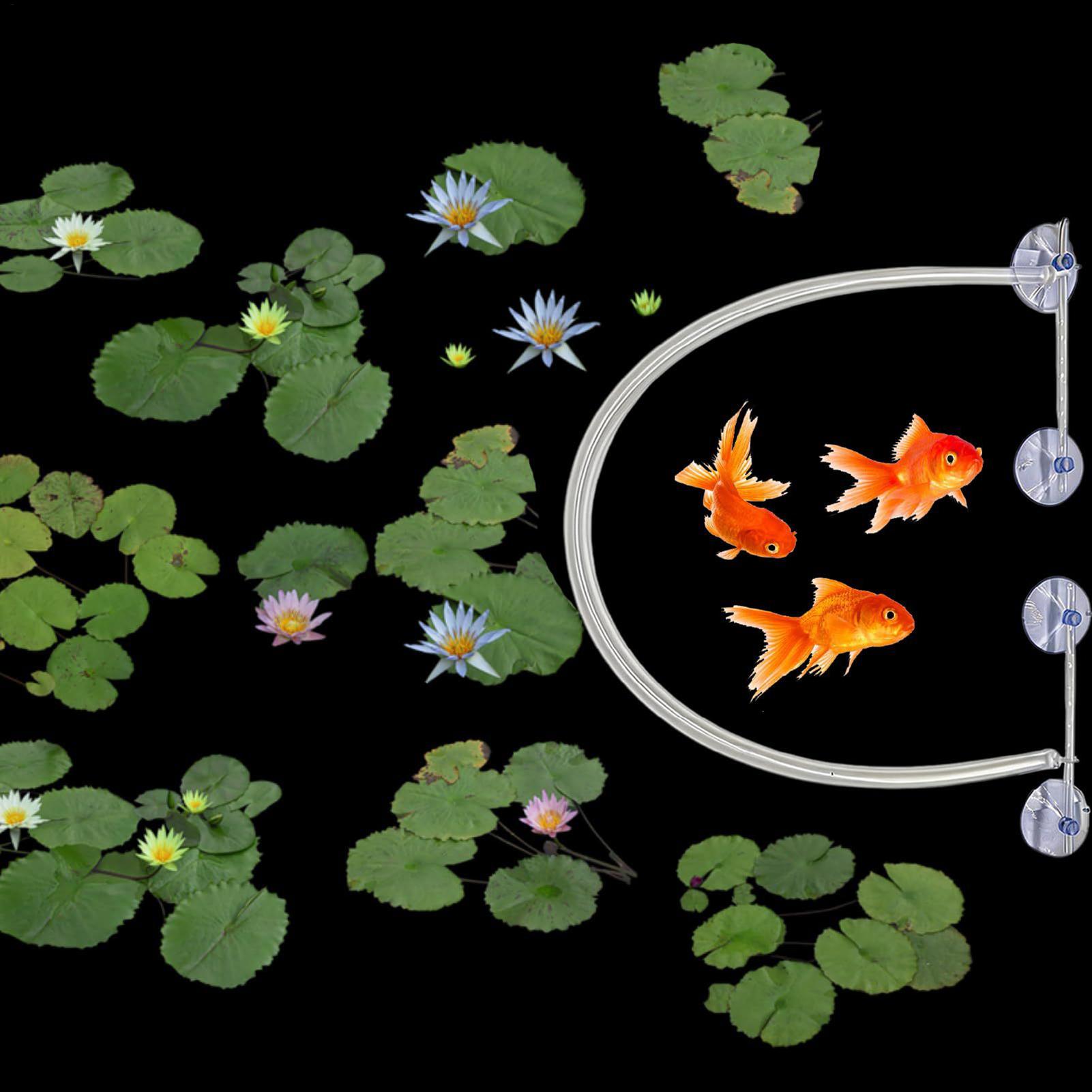 Drijvende plantenomheining, au - Planted Aquarium Tank Kit recensie en prijs