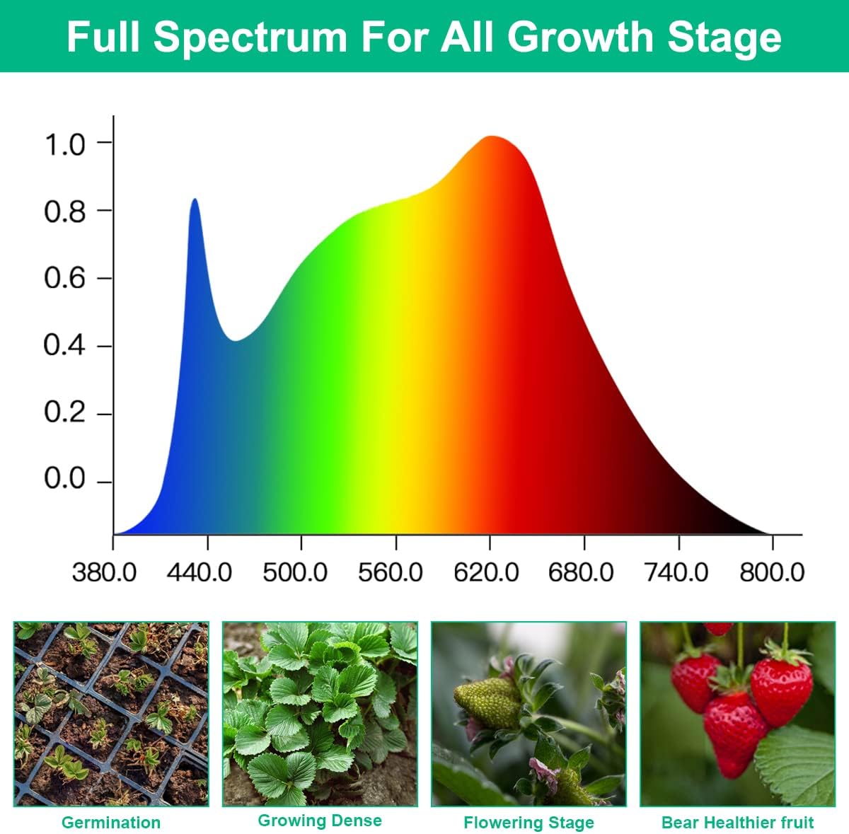 LED Grow Lampen Plant Volledig - Aquarium Plant Seeds recensie en prijs