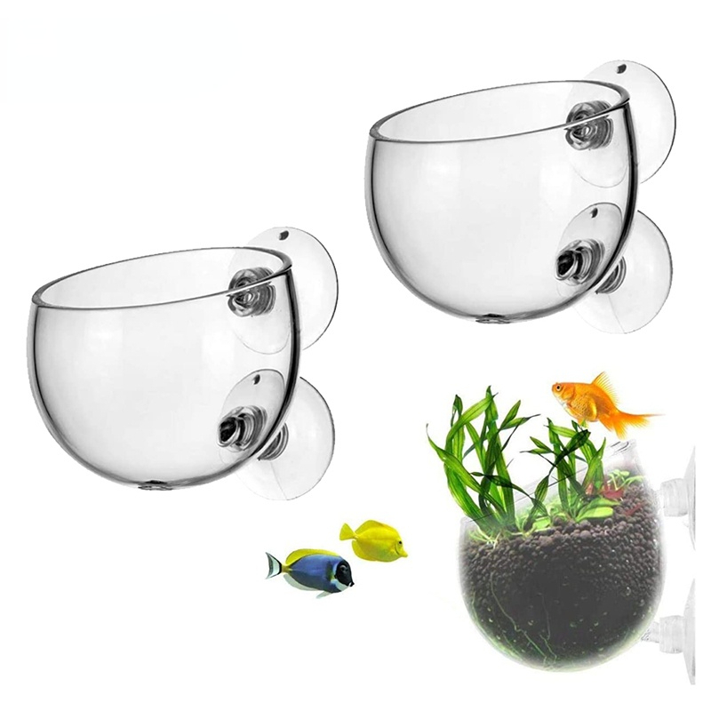 Nieuwe Aquarium Plant Pot Glaz - Aquarium Plant Seeds recensie en prijs