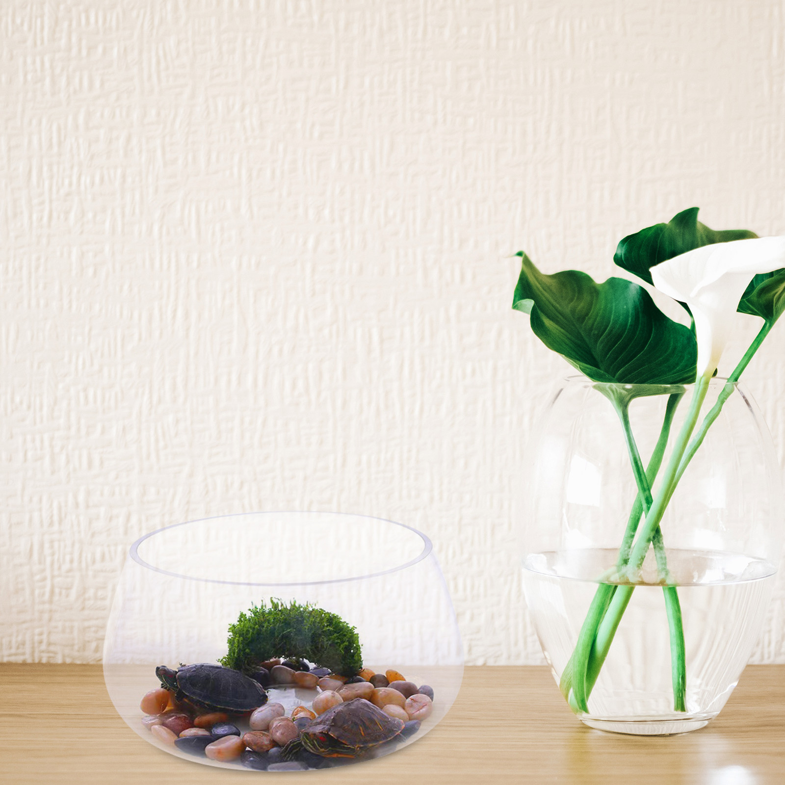 Ronde, doorzichtige glazen min - Aquarium Planted Shop recensie en prijs