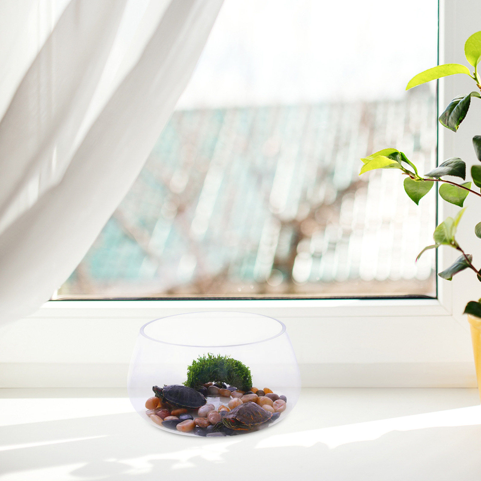 Ronde, doorzichtige glazen min - Aquarium Planted Shop recensie en prijs