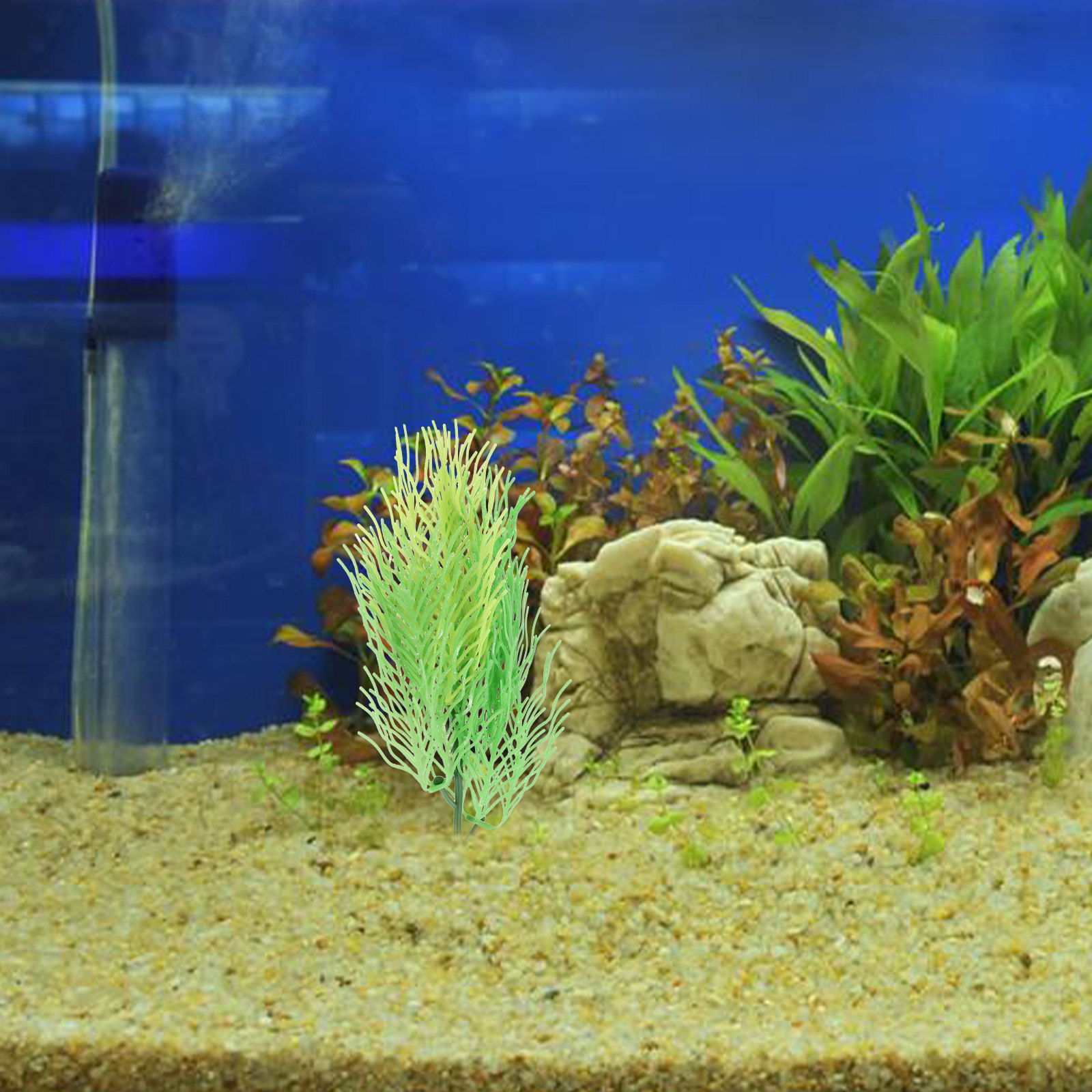 Gesimuleerde Hornwort aquarium - Aquarium Planted Setup recensie en prijs