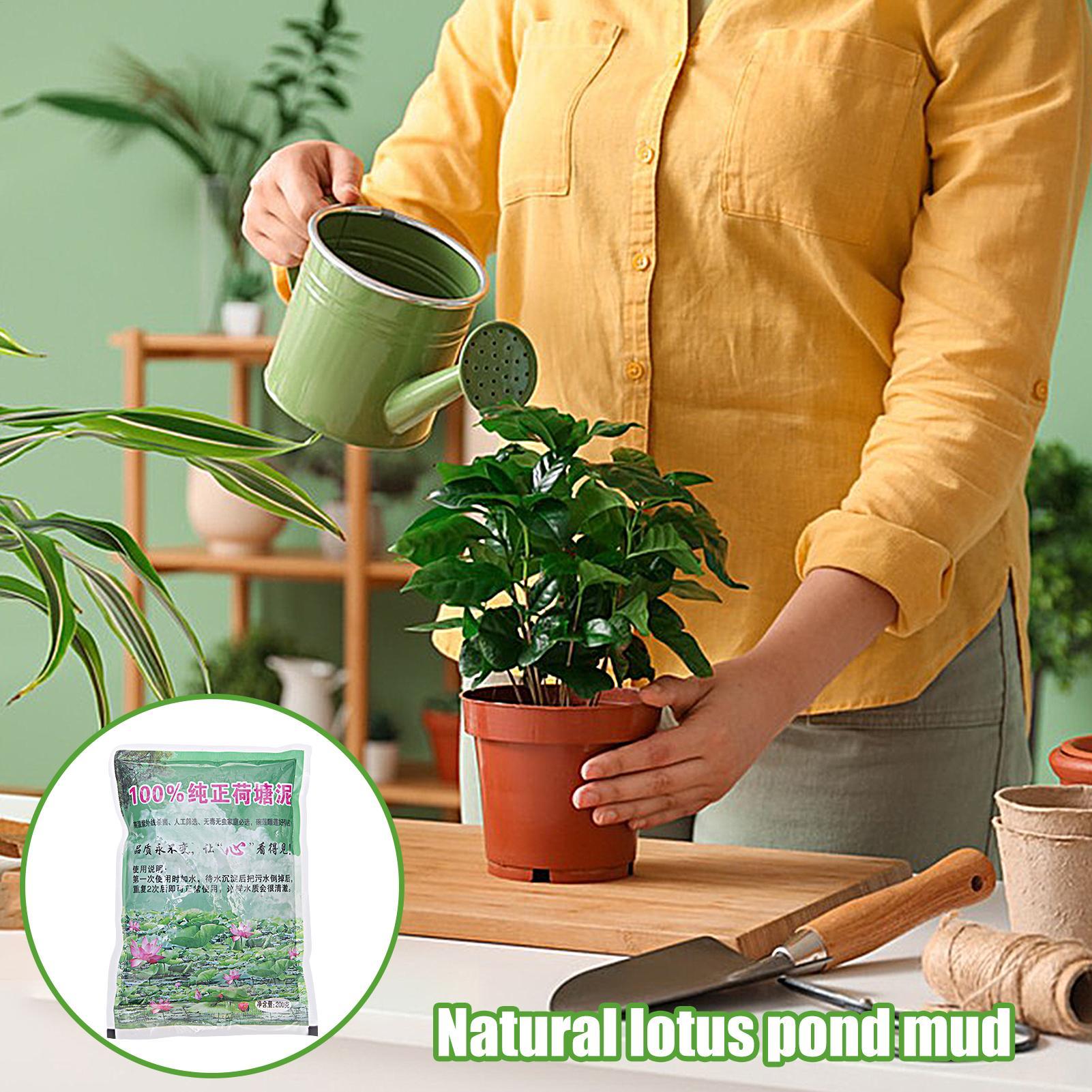 200 g/zak Aquarium Bodem Natuu - Aquarium Plant Seeds recensie en prijs