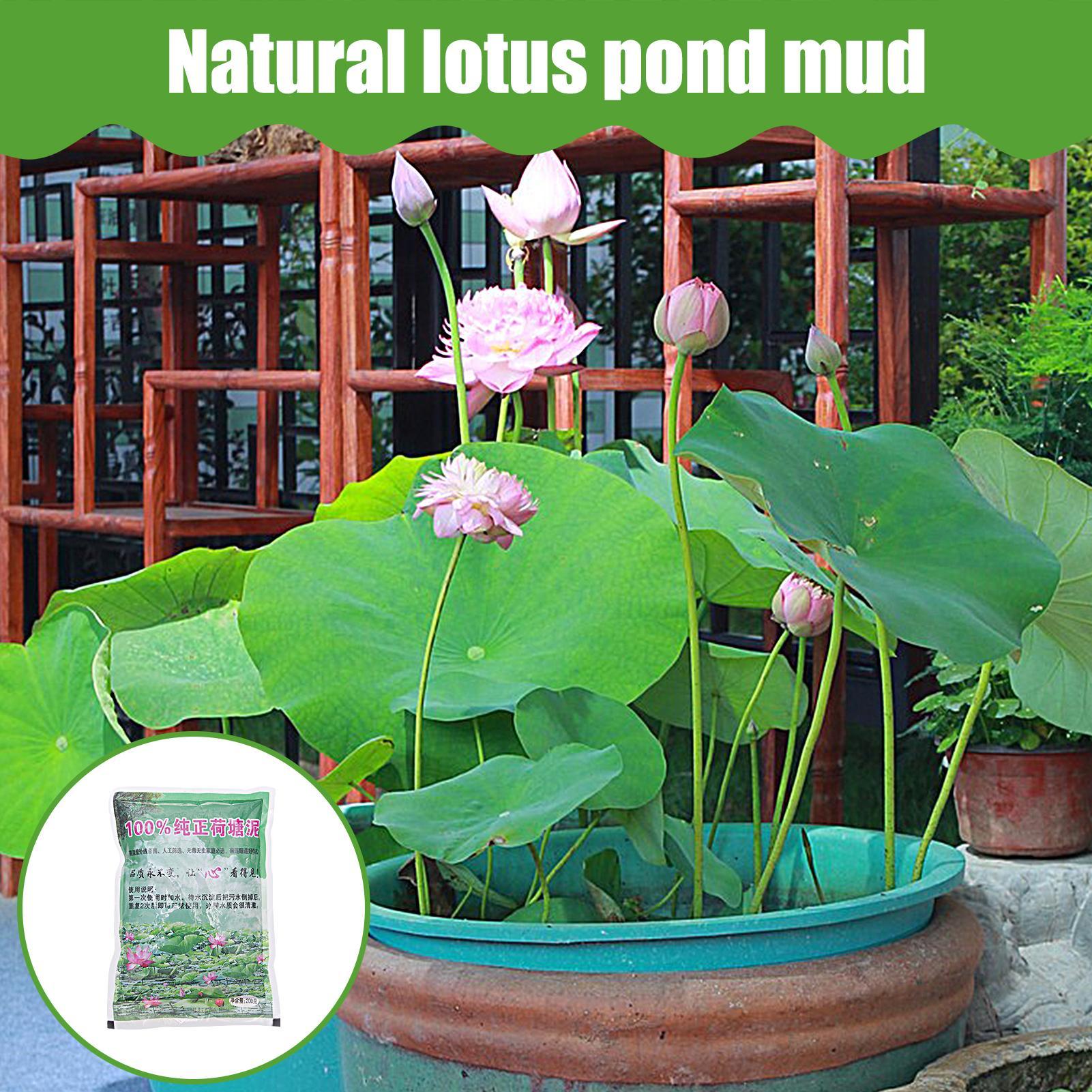 200 g/zak Aquarium Bodem Natuu - Aquarium Plant Seeds recensie en prijs