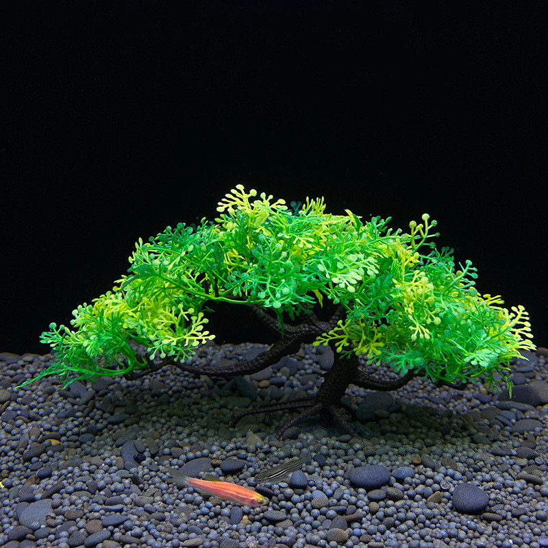 Aquarium Bonsai Boom, Plant, A - Aquarium Plant Seeds recensie en prijs