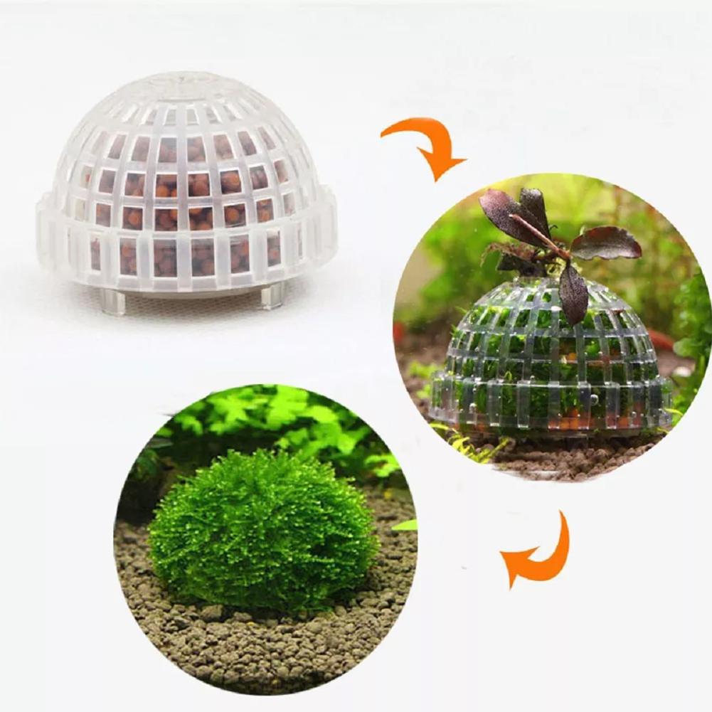 Aquarium Decoratie Planten Bio - Aquarium Plant Red recensie en prijs