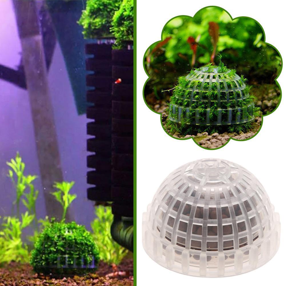 Aquarium Decoratie Planten Bio - Aquarium Plant Red recensie en prijs