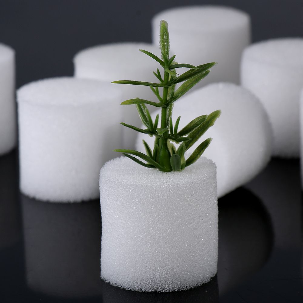 10/50Pcs Duurzaam Tuin Aquariu - Aquarium Plant Seeds recensie en prijs