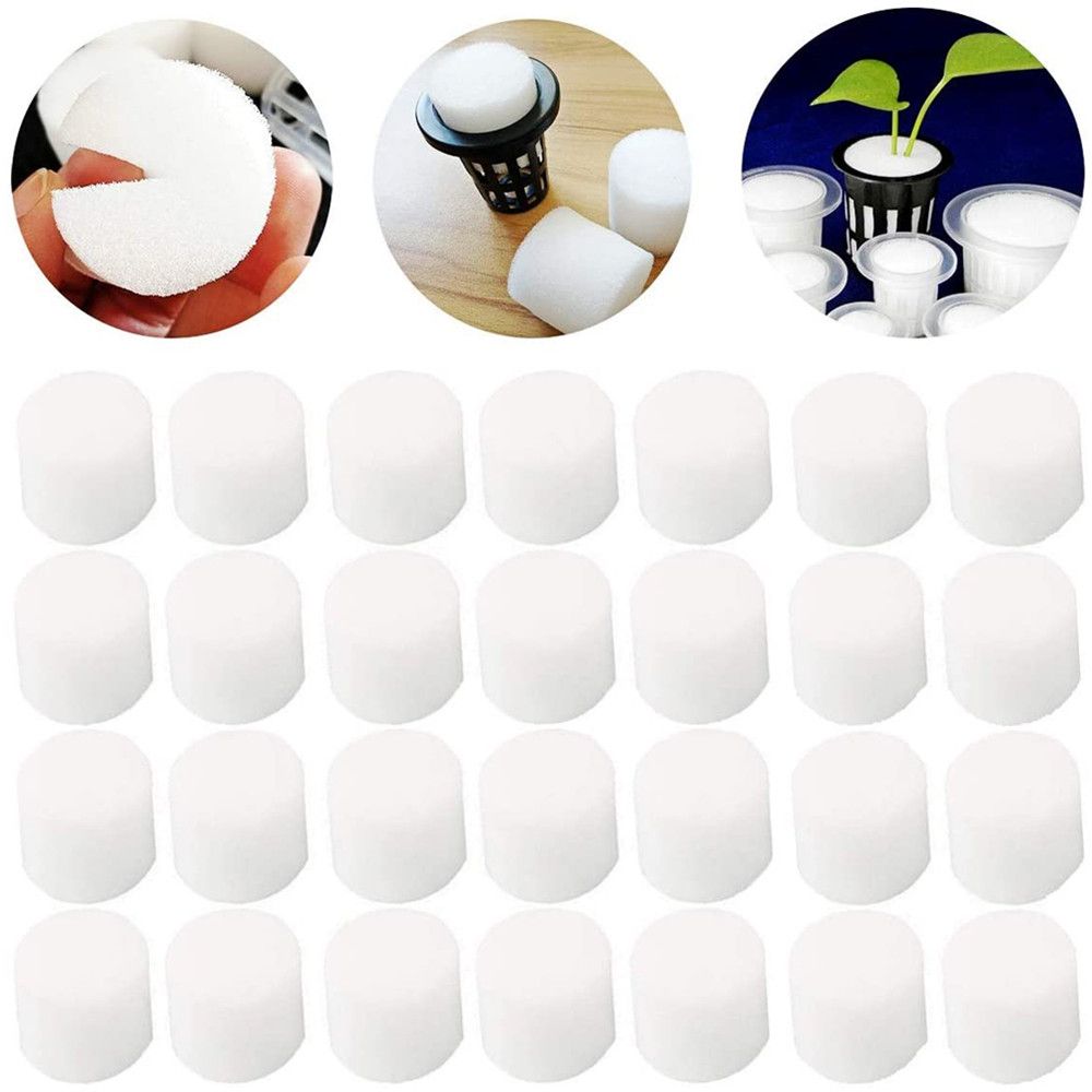 10/50Pcs Duurzaam Tuin Aquariu - Aquarium Plant Seeds recensie en prijs