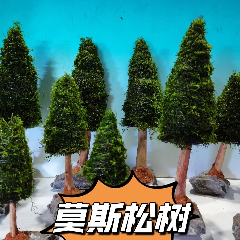 Aquarium Decoratie Waterplante - Aquarium Plant Seeds recensie en prijs