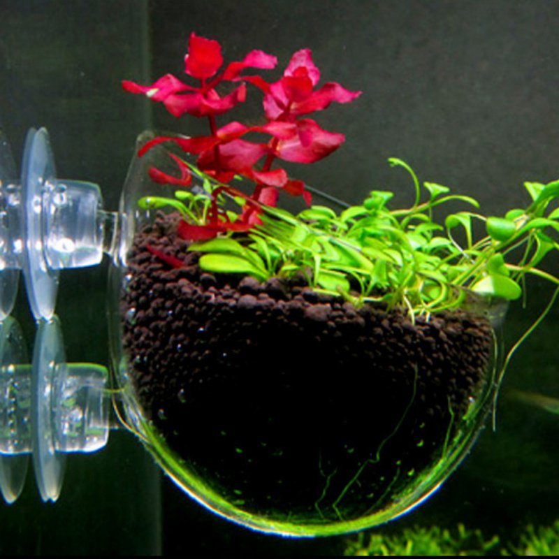 Aquarium Opknoping Plant Pot G - Aquarium Plant Seeds recensie en prijs