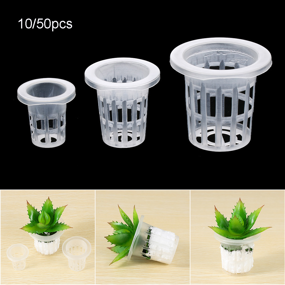 10/50 Stuks Duurzaam Planten A - Aquarium Plant Seeds recensie en prijs
