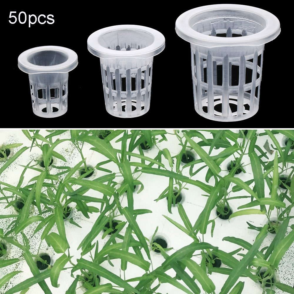 10/50 Stuks Tuinbenodigdheden  - Aquarium Plant Seeds recensie en prijs