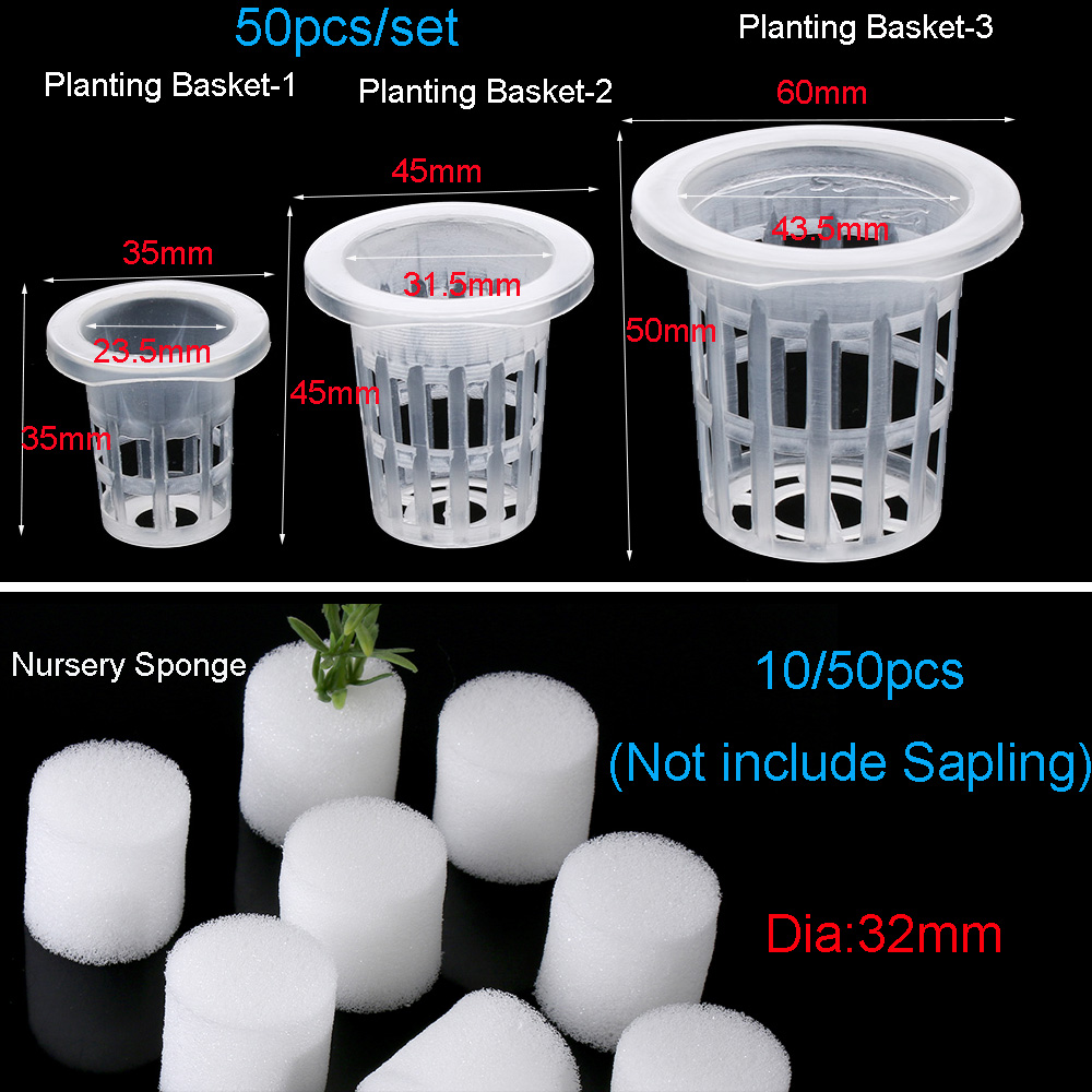 10/50 Stuks Tuinbenodigdheden  - Aquarium Plant Seeds recensie en prijs